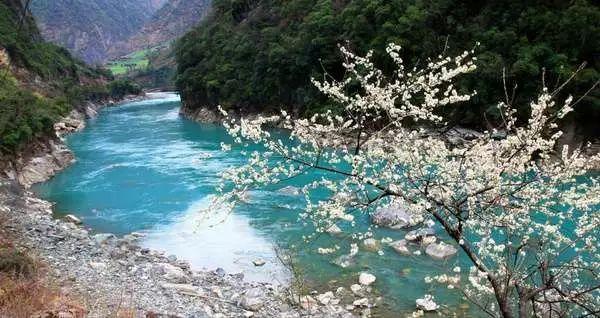 小僵尸消消看